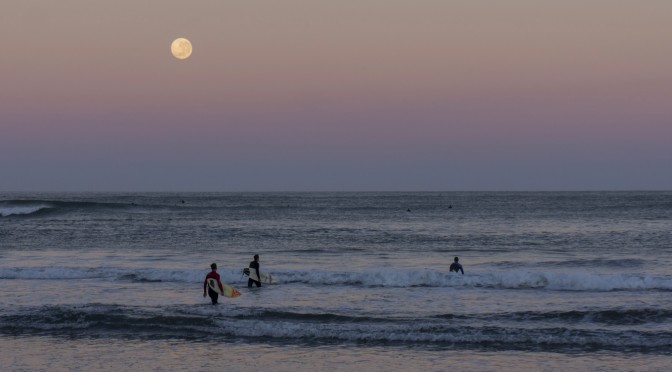 Surfing under the moonlight